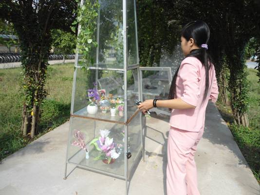 Slideshow Image 1